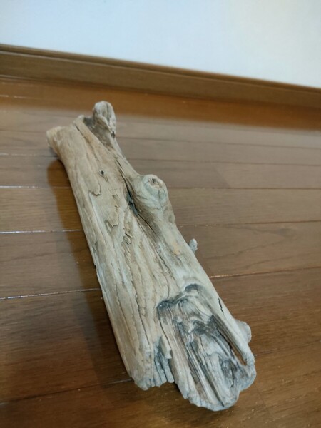 ☆天然流木 水槽 1点物 アクアリウム オブジェ アート 37.5×8.5×9cm 大和川 河口 爬虫類 めだか 魚 トカゲ ヘビ 老木