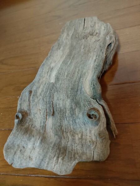 ☆天然流木 水槽 1点物 アクアリウム オブジェ アート 37×15×7cm 大和川 河口 爬虫類 めだか 魚 トカゲ ヘビ 老木
