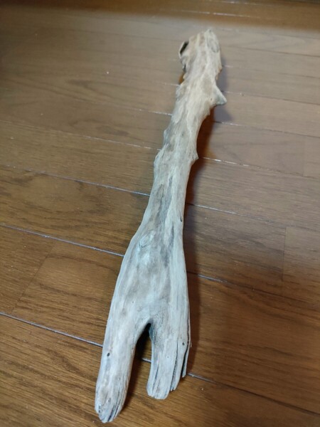 ☆天然流木 水槽 1点物 アクアリウム オブジェ アート 52.5×8×6.5cm 大和川 河口 爬虫類 めだか 魚 トカゲ ヘビ 老木