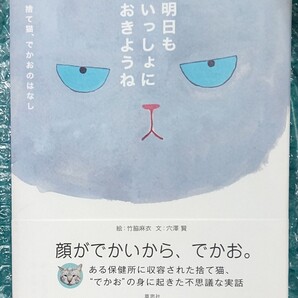 明日もいっしょにおきようね 草思社 文:穴澤賢 絵:竹脇麻衣 初版