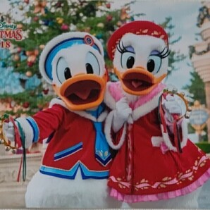 2018年 TDR スペシャルフォト スペホ TDL ドナルド デイジー ディズニー クリスマス