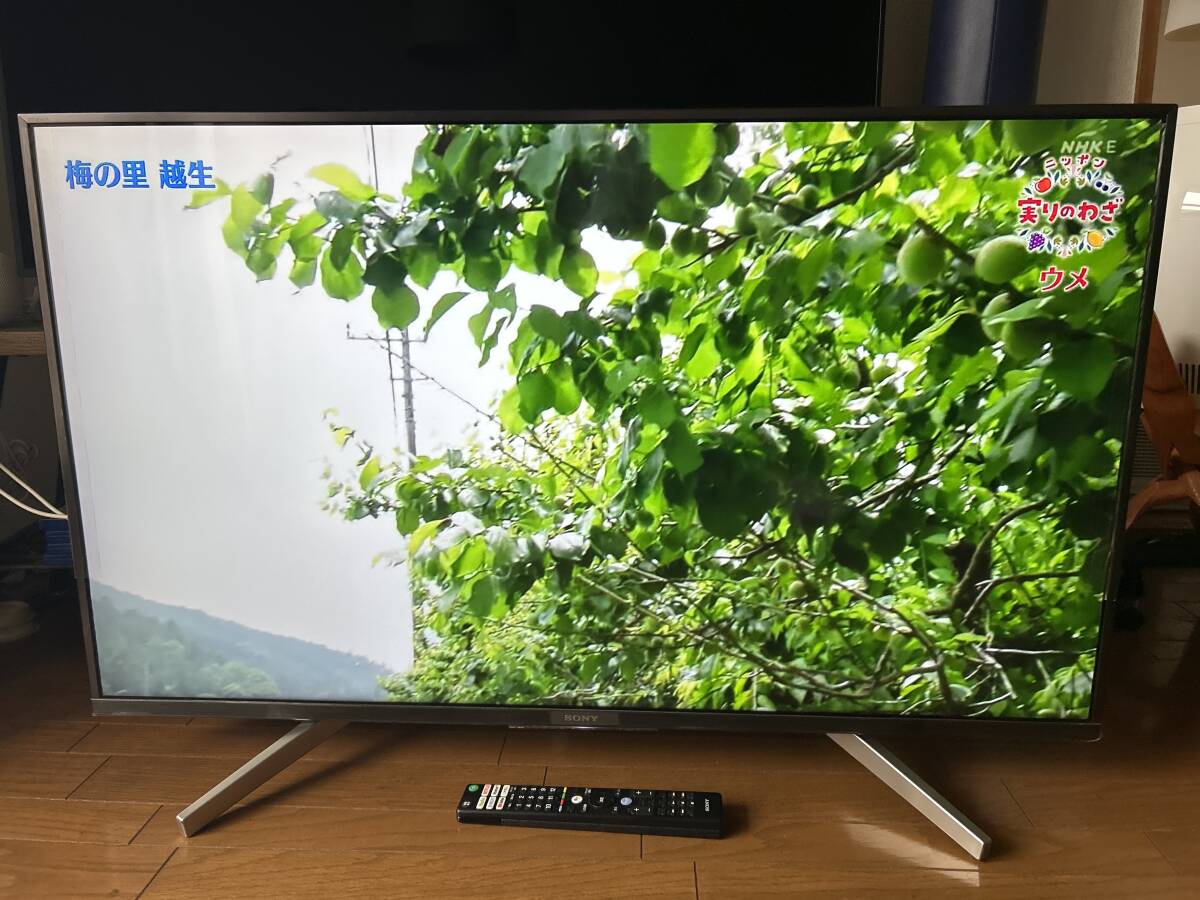 Amazon.co.jp: ソニー 43V型 液晶 テレビ ブラビア KJ-43X8500G