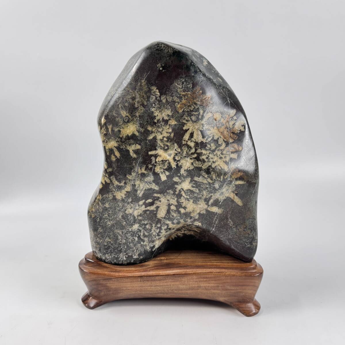 菊花石 天然石 自然石 最高品 盆栽道具 盆石 盆景 オブジェ 置物 希少品