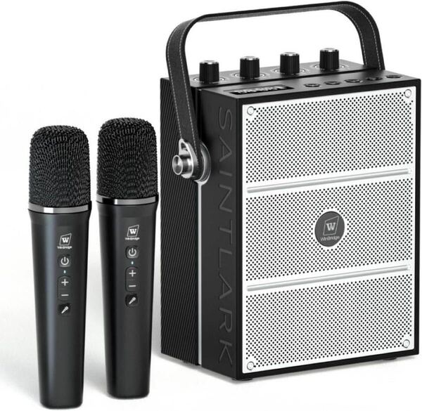 拡声器 ポータブルスピーカー ハンドマイク 2人同時使用 演説 お祭り