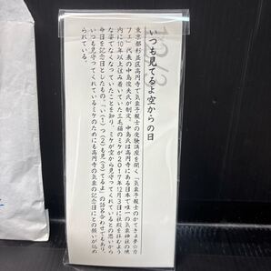 御守り 高円寺 氷川神社 気象神社 みまもり 三毛猫 ミケ 開運 ルチルクォーツ