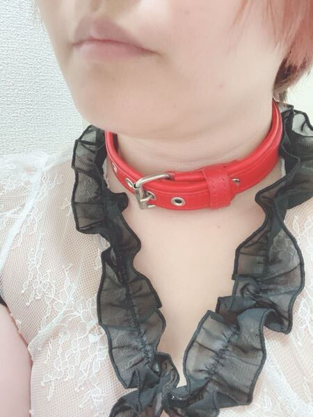 SM 布製首輪 柔らかい 初心者さんにも