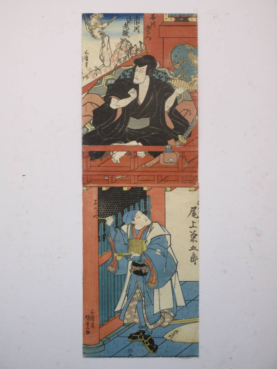 かけ軸「菊」 – Shop of Hokusai ｜ 北斎館ネットショップ