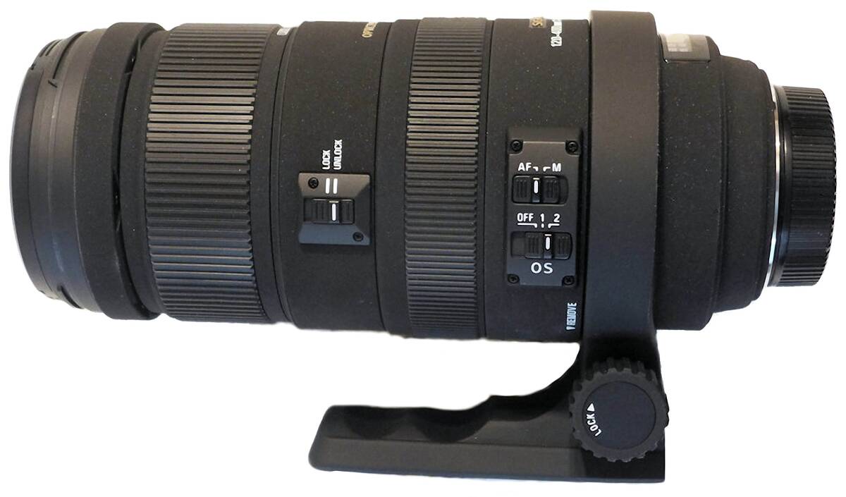 Item Picture