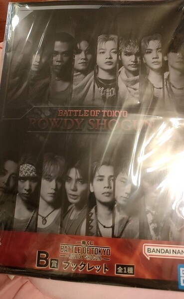 一番くじ bot THE RAMPAGE B賞 ブックレット 陣 RIKU 神谷健太 山本彰吾 川村壱馬 吉野北人浦川翔平 藤原樹 武知海青 長谷川慎