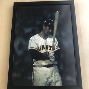 kj ★額装品★ 2 長嶋茂雄 篠山紀信 貴重写真 A4額入り ポスター風 ユニホーム バット 野球 ジャイアンツ 巨人 サインなし