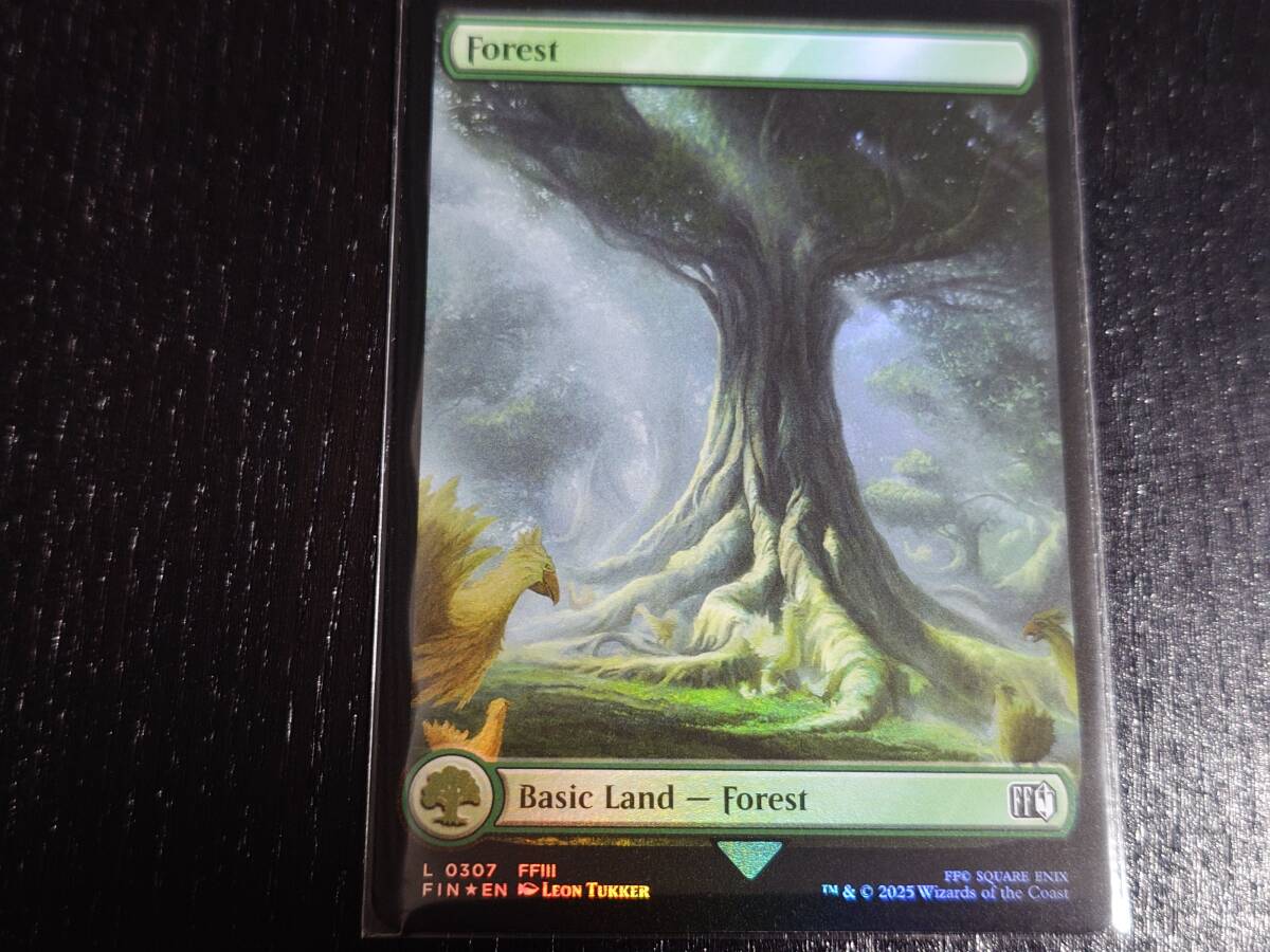 2025年最新】Yahoo!オークション -mtg 基本土地 英語の中古品