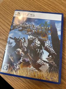モンスターハンターワイルズ PS5 モンハン PlayStation5