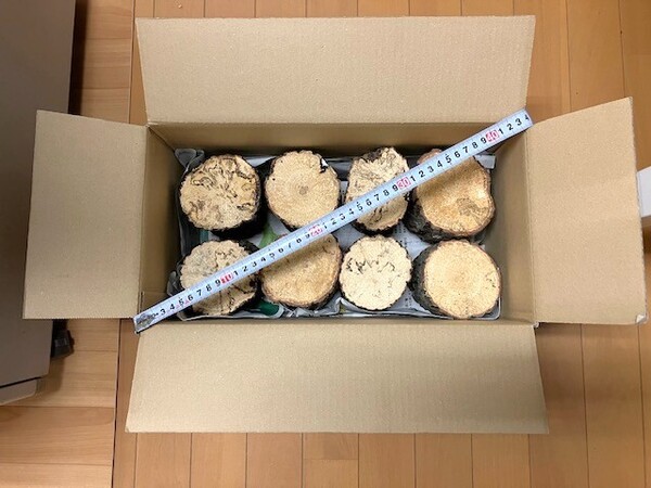 【川口商会】激安!能勢産 厳選クヌギ・コナラ飼育産卵木 特価品NO23《8本入》