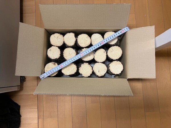 【川口商会】最高級ブランド三草 クヌギ・コナラ飼育産卵木A品 NO2《15本入》
