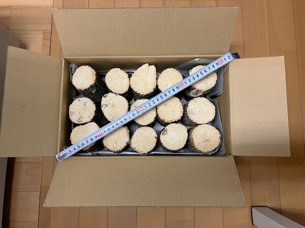 【川口商会】最高級ブランド三草クヌギ・コナラ飼育産卵木A品 NO1《15本入》