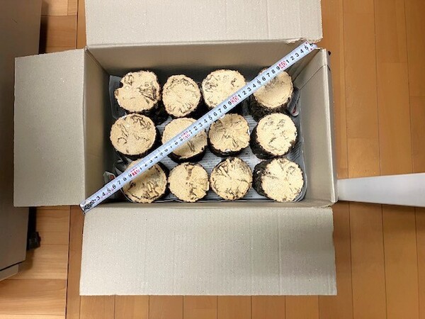 【川口商会】最高級ブランド三草クヌギ飼育産卵木 特価品NO26&NO27《24本入》