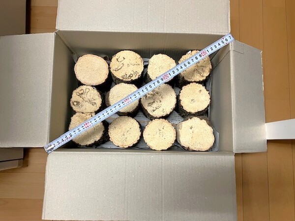 【川口商会】最高級ブランド三草 クヌギ飼育産卵木A品 NO1《12本入》