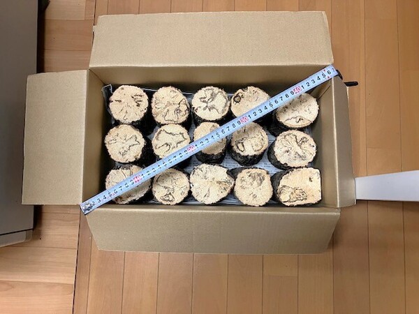 【川口商会】最高級ブランド三草クヌギ飼育産卵木 特価品NO22《15本入》