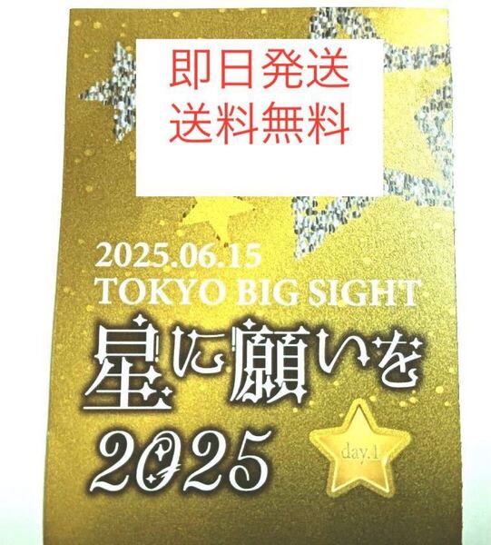 【即日発送・匿名送料無料】 6/15 星に願いを -day1- 2025 サークルチケット サークルPASS 1枚 赤ブー サクチケ