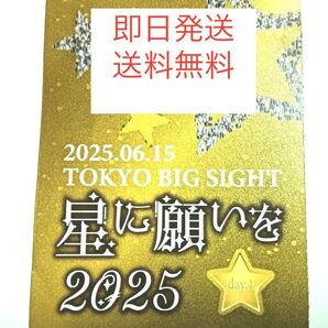 【即日発送・匿名送料無料】 6/15 星に願いを -day1- 2025 サークルチケット サークルPASS 1枚 赤ブー