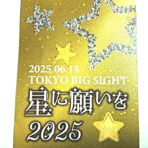 【匿名送料無料】 6/15 星に願いを 2025 -day1- サークルチケット サークルPASS 1枚 赤ブー