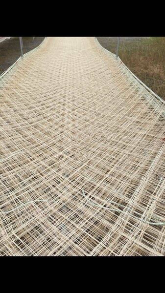 16枚セット 中古海苔網 台風対策 緑のカーテン 猪 鹿 対策 中古補修洗濯済
