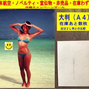鳥越マリ 沖縄キャンペーンガール 写真 水着 日本航空 ノベルティ 宣伝物 非売品 1980年代 大判=1