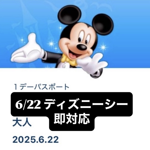 6/22 6月22日 ディズニーシー スイスイサマー ダッフィー ダッフィ カラフルハピネス チケット パスポート グッズ購入 グッズ購入用