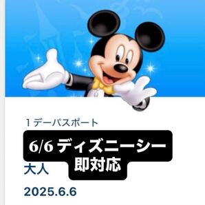 6/6 6月6日 ディズニーシー スイスイサマー ダッフィー ダッフィ カラフルハピネス チケット パスポート グッズ購入 グッズ購入用