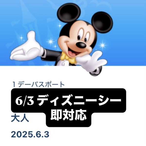 6/3 6月3日 ディズニーシー パルパルーザ ダッフィー ダッフィ カラフルハピネス チケット パスポート グッズ購入 グッズ購入用