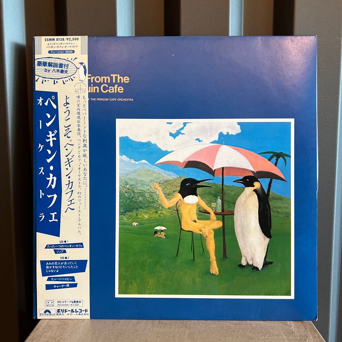 国内盤penguin cafe orchestra レコード 帯付き Yahoo!オークション -「ペンギンカフェオーケストラ」(レコード