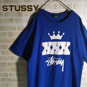 STUSSY ステューシー Tシャツ 半袖 青 30周年