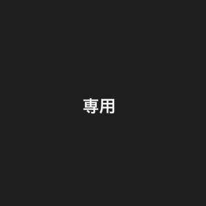 専用》アイアンマン