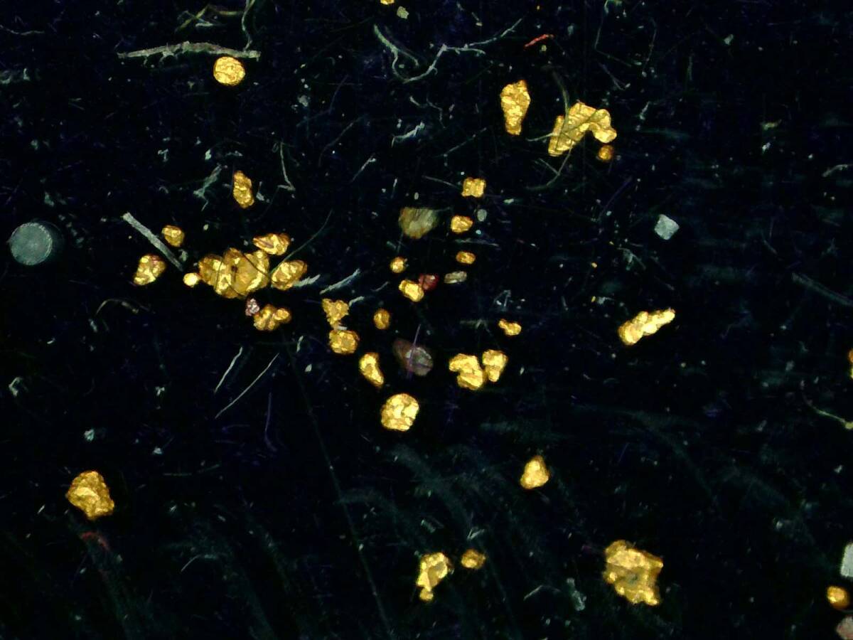 北海道砂金掘り (1980年) |本 | 通販 | Amazon