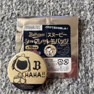 Orix Snoopy Secret жестяная банка bachi столица se Rado m переменный ток битва ja Ian tsu
