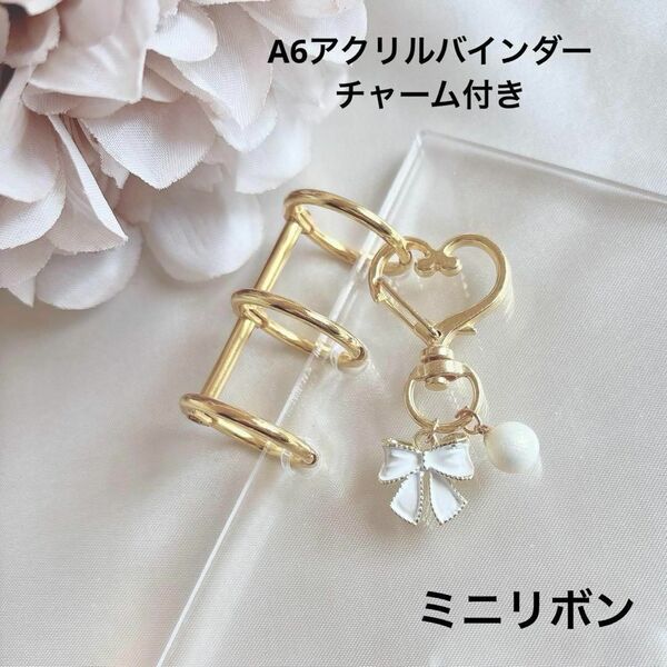 新品 アクリルバインダー A6 家計管理 韓国 バインダー貯金 saving リボン パール クリアバインダー *031