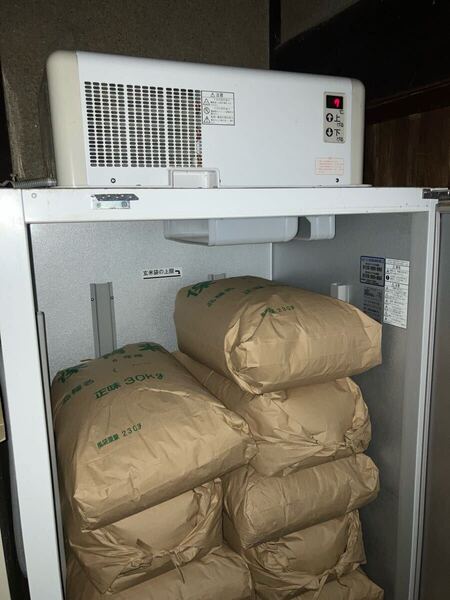 送料込み! 兵庫県産 きぬむすめ 10kg 農家の古米