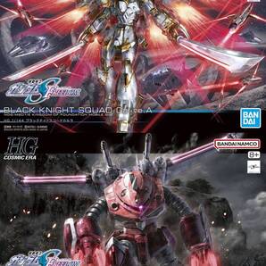 【2品セット】HG ブラックナイトスコードカルラ/ズゴック SEED【新品】