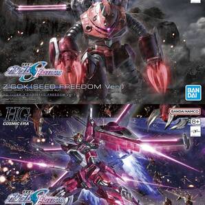 【2品セット】HG ズゴック SEED/インフィニットジャスティス弐式【新品】