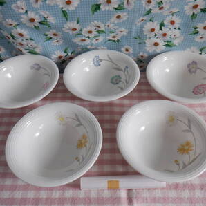 E6『たち吉 アダム&イブ ハミルトンフルーツボール(花柄模様)ピック付き~5個セット 日本製』~箱付き サラダボウルにいかが?