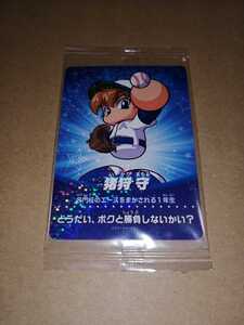 新品 実況パワフルプロ野球 amiibo アミーボ カード 猪狩守