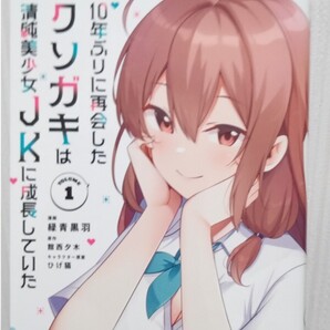 10年ぶりに再会したクソガキは清純美少女JKに成長していた 1巻(ガルドコミックス) 館西夕木/原作 緑青黒羽/漫画 初版 送料無料