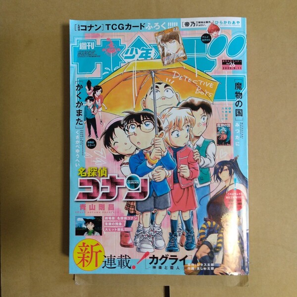週刊少年サンデー 2025年6.11号 TCGカード付き 小学館