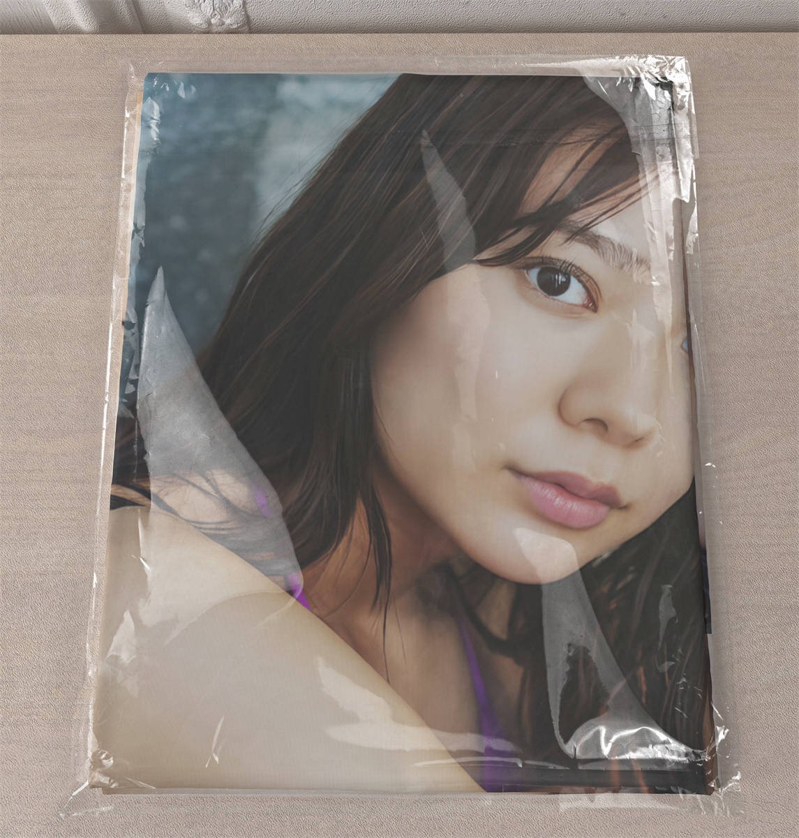 本庄明日香 抱き枕カバー Amazon | 正規品 抱き枕カバー 本庄 明日香EX版 ともー よめたん