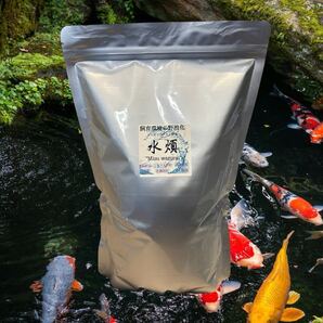 水煩 Mizuwazurai モンモリロナイト粉末 2㎏