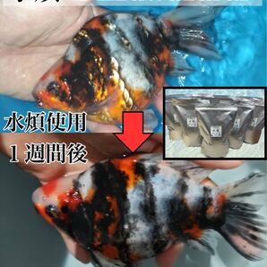 水煩 Mizuwazurai 2kg