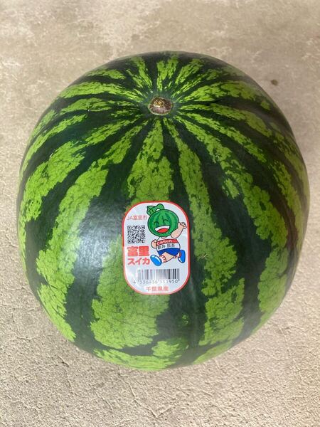 送料込み!富里産 ハウス栽培スイカ 特大4Lサイズ 1玉