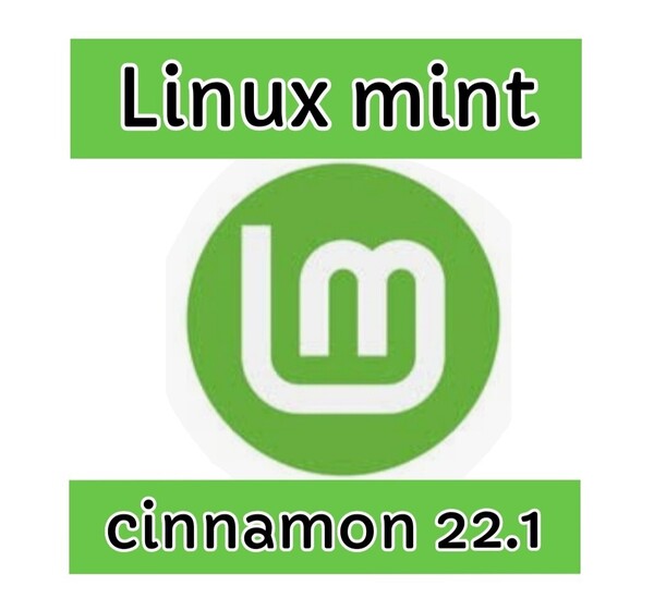 Linux OS Linux mint cinnamon 22.1 64bit 起動 disk②