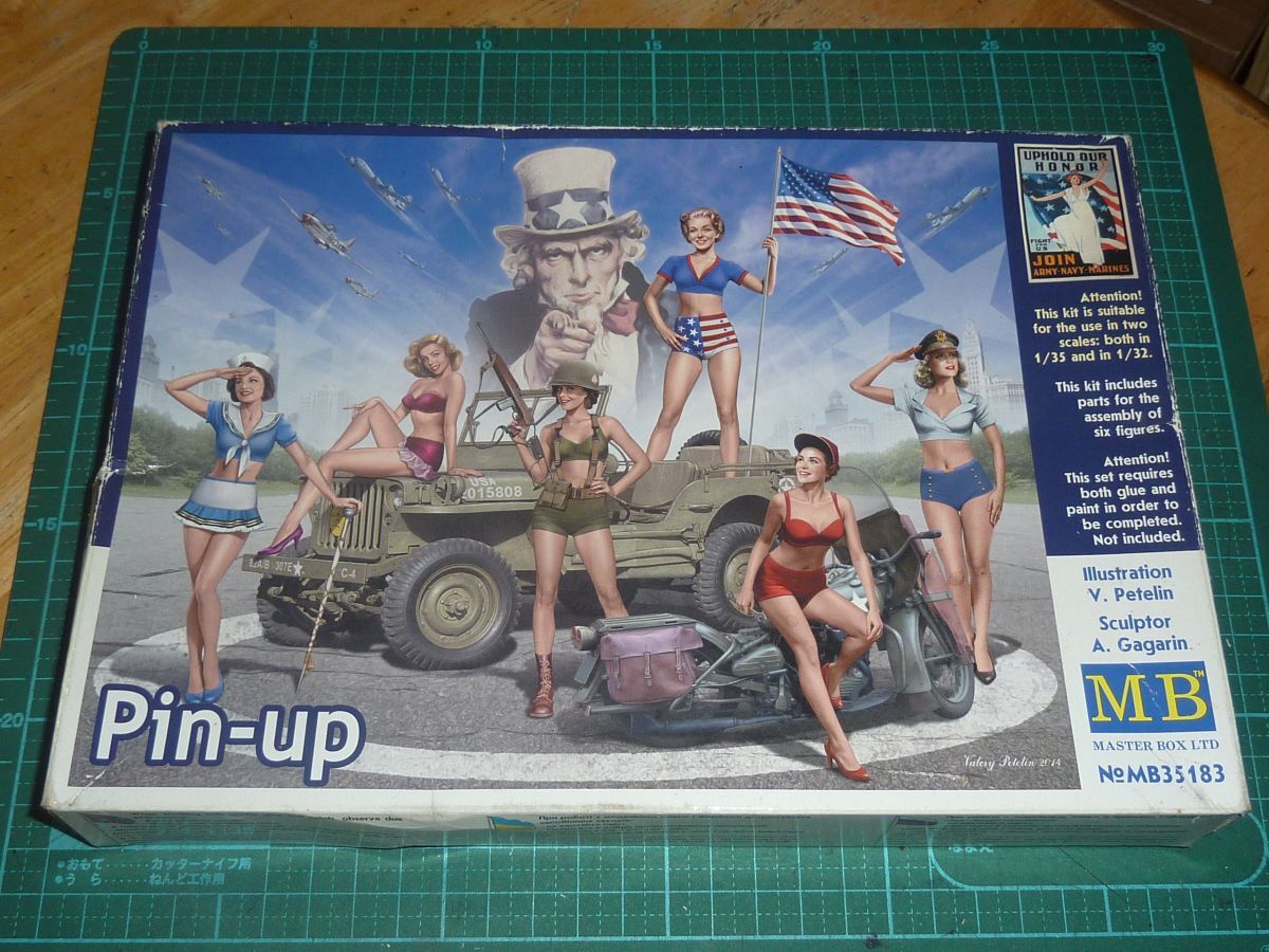 ピンナップ ガールズ PIN-UP GIRLS イギリス版 希少レア 写真集 ピンナップガールのポスター、ピンクのドレスのフェアグラウンド