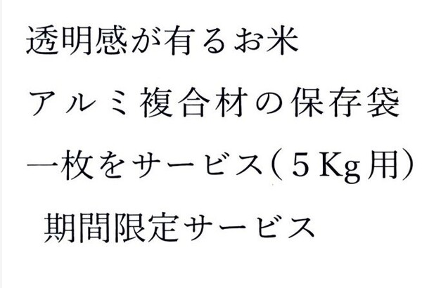 精米『5月上旬~10Kg白米』ひとめぼれ、紙製米袋入り、令和6年度産、保存袋5Kg用サービス、